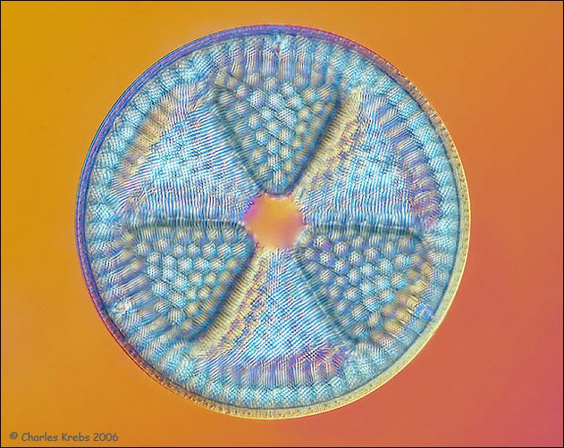 4570_84sm