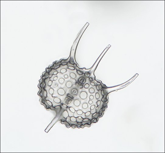 9773_9788sm